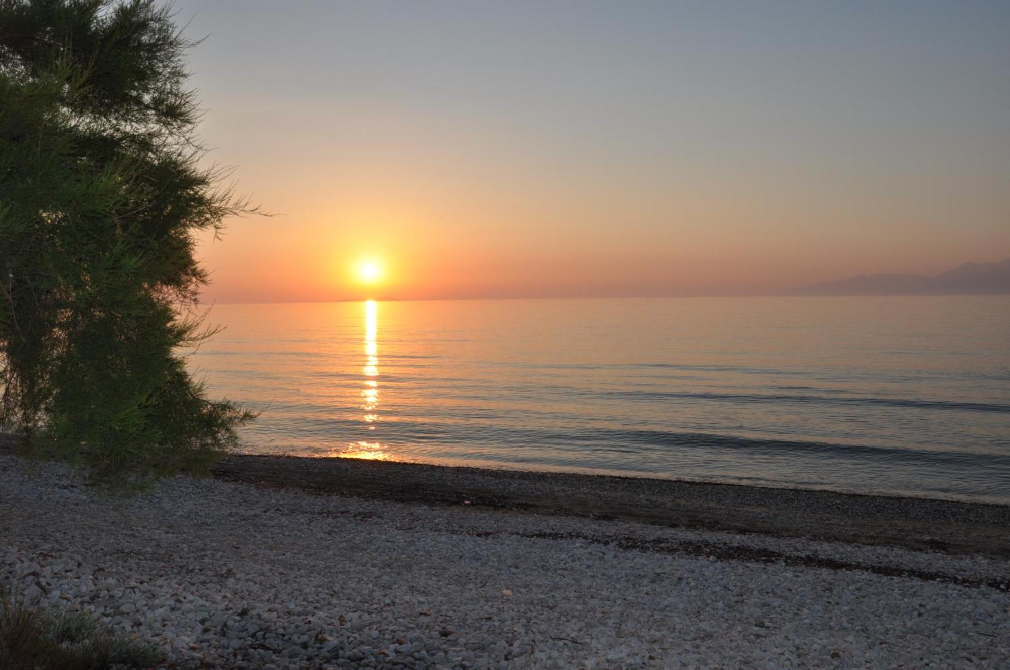 Tassos Apartments Corfu  ภายนอก รูปภาพ
